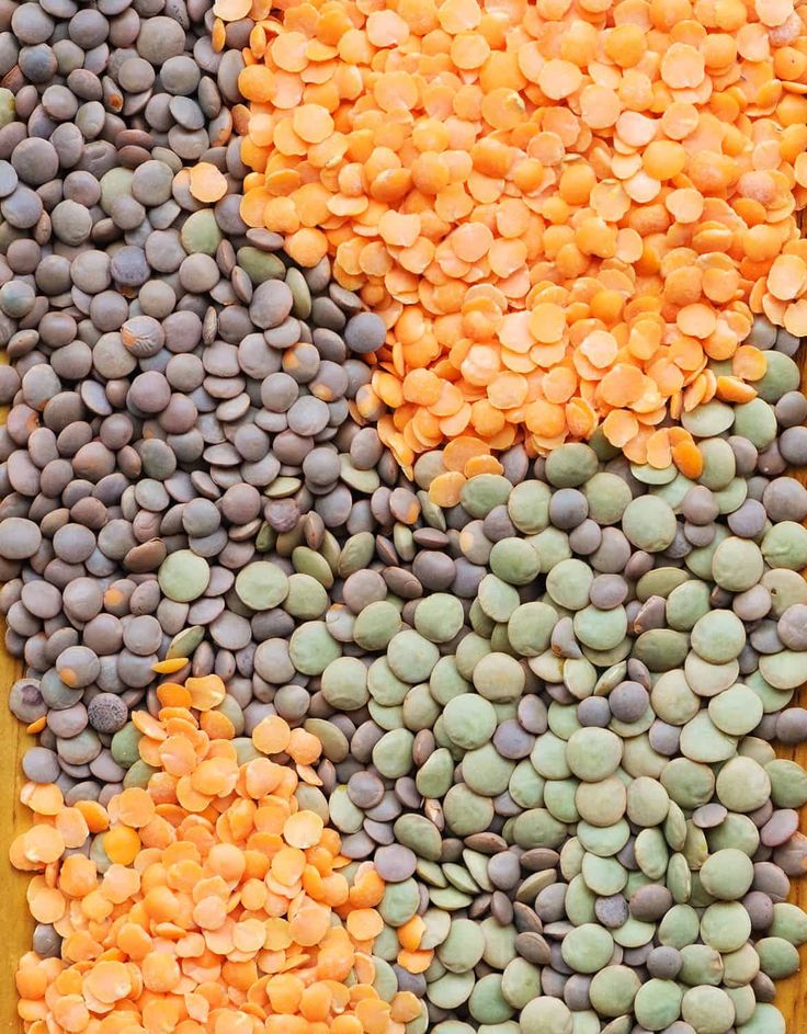 Bulk Iranian Lentils Supplier for East African & Middle Eastern Nations; National Food Reserves & Framework Agreements